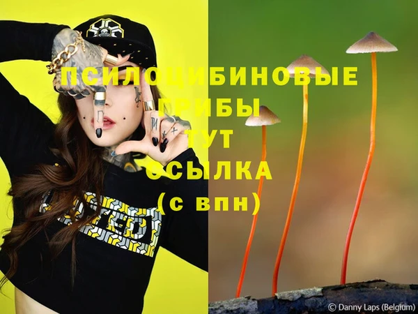бутират Верхний Тагил